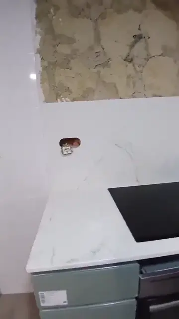 Encimera de cocina a medida (vídeo) — trabajo de Marbres Chust, 2026